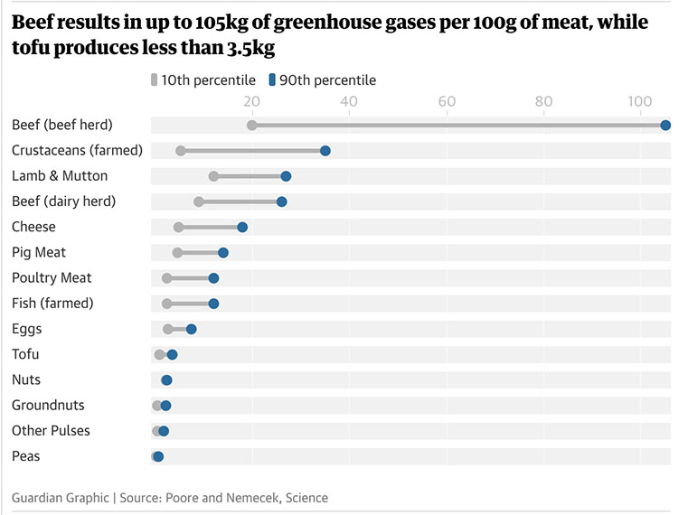 La carne de res produce 105 kg de gases de efecto invernadero por cada 100 gramos de carne.