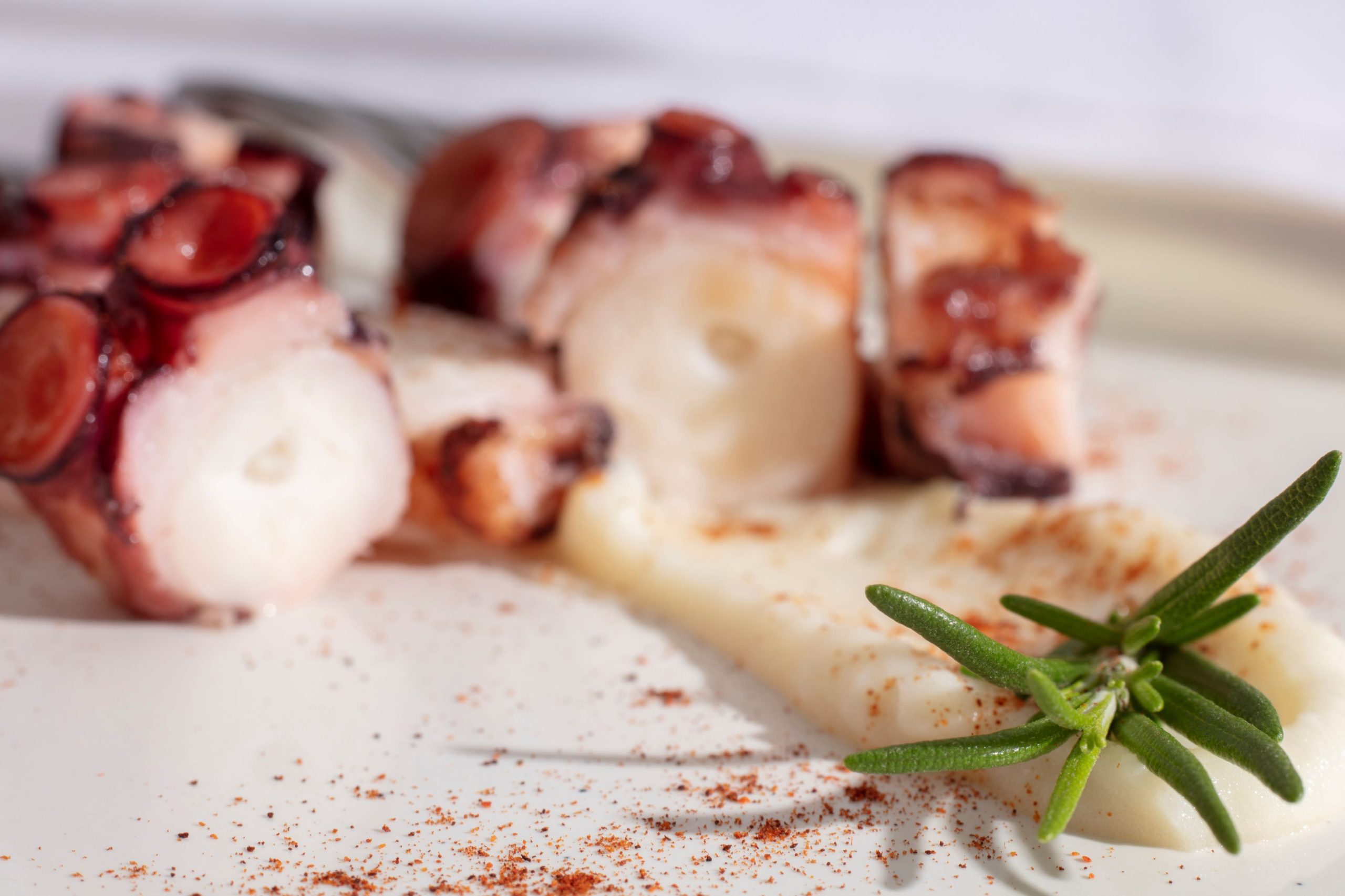 3 platos típicos e imperdibles de Galicia