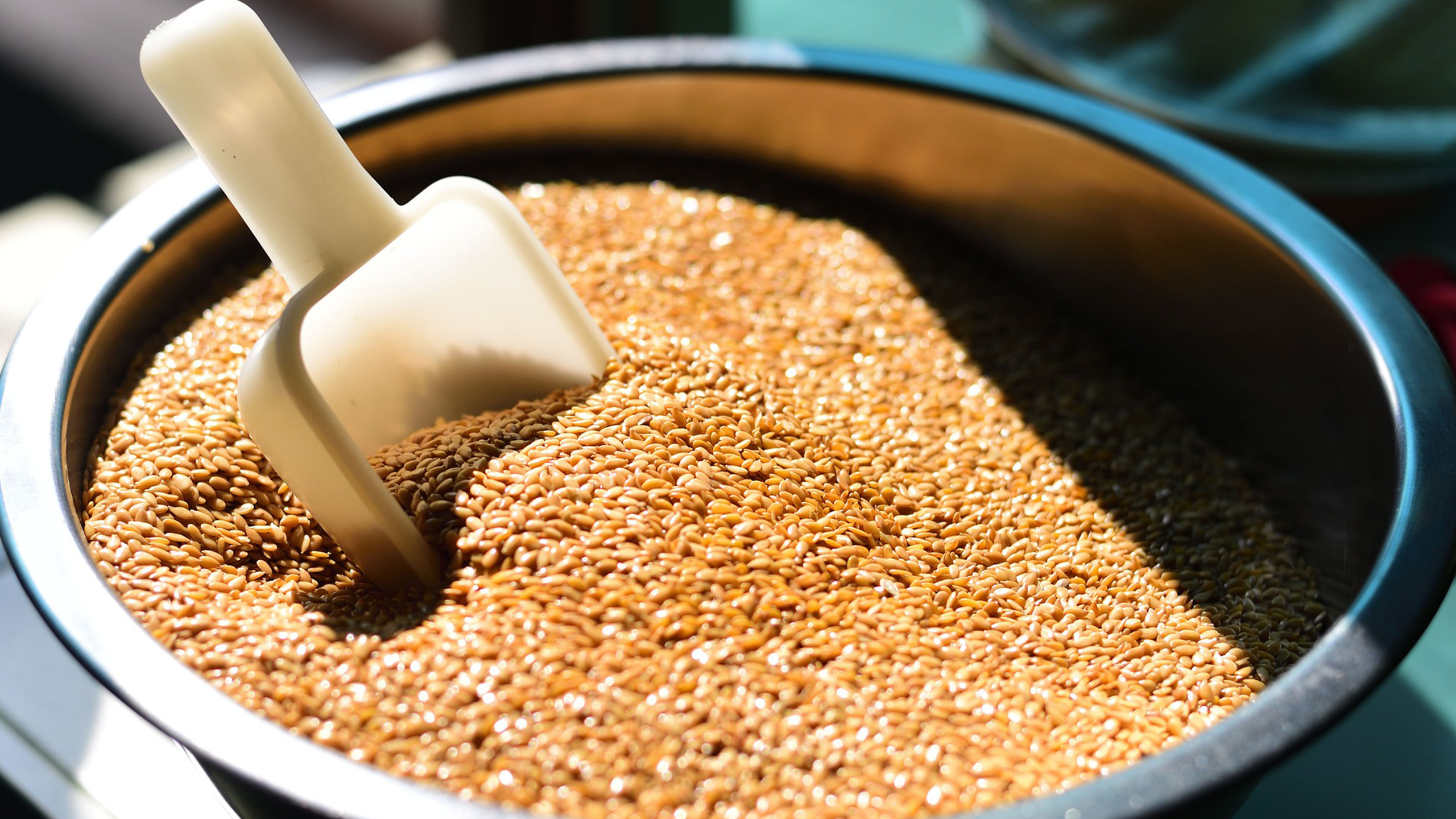 Cuáles son los beneficios de comer semillas de lino y cómo prepararlas